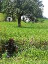 IMG_20190803_111015